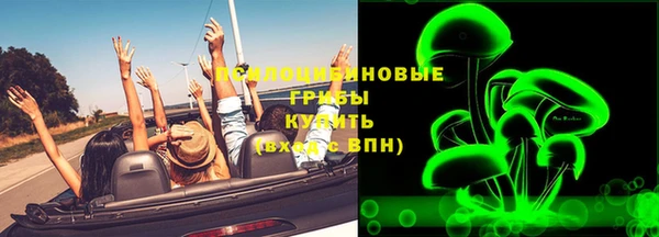 тгк Пересвет