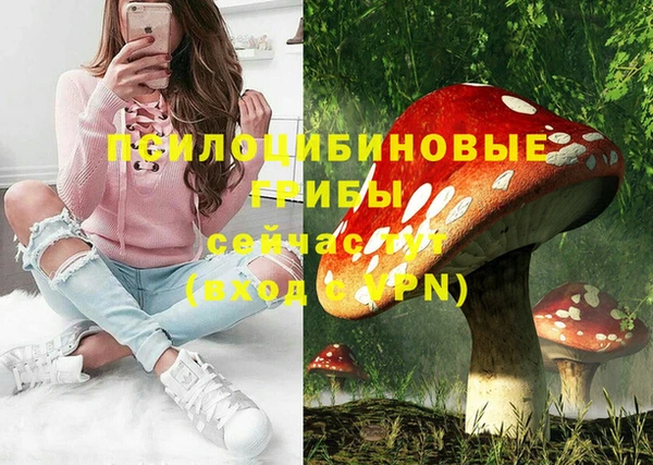 тгк Пересвет