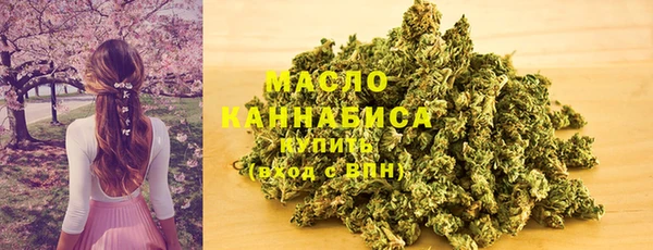 тгк Пересвет