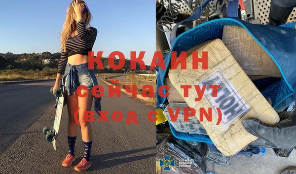 тгк Пересвет